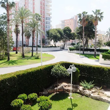 Floresta Gandia - Solo Familias Playa de Gandia