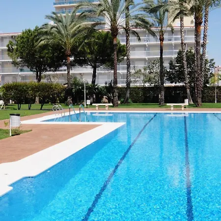 Floresta Gandia - Solo Familias Playa de Gandia