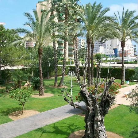 Floresta Gandia - Solo Familias